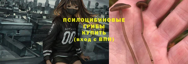 2c-b Алексеевка